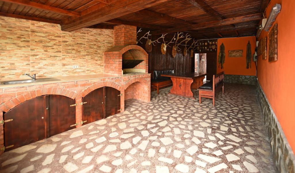 Vila Belvedere Haţeg エクステリア 写真